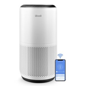 Best Levoit Air Purifier